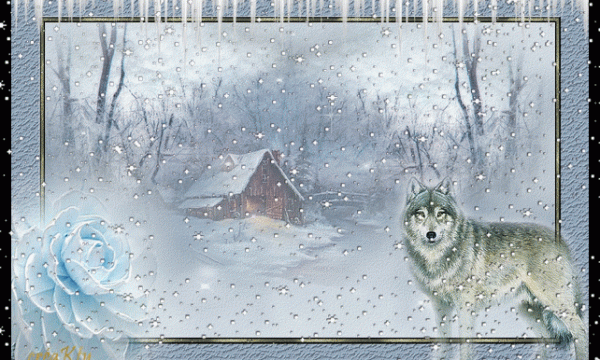 L'INFO DU JOUR ... Les loups rodent ....