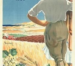 Anciennes affiches coloniales