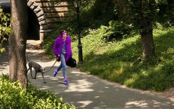 mode fashion walking park dog