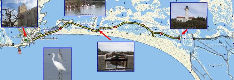 Balade nature en Camargue