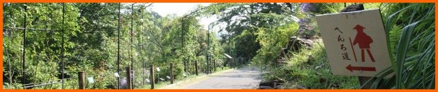 Shikoku, le chemin des 88 temples