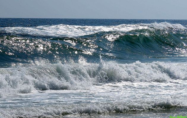 Une vague à Ilha de Tavira