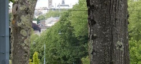 Limoges : Une découverte inattendue à l'entrée de la ville en milieu feuillu