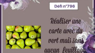 Passion Cartes Créatives#796 !