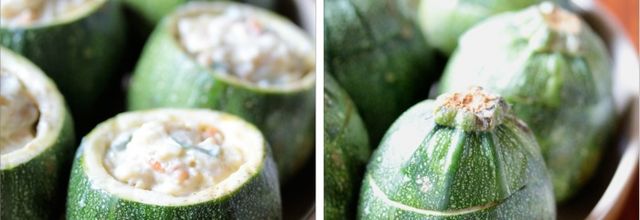 Courgettes rondes aux saveurs du Sud