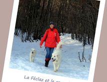 La Féclaz/Le Revard #1.