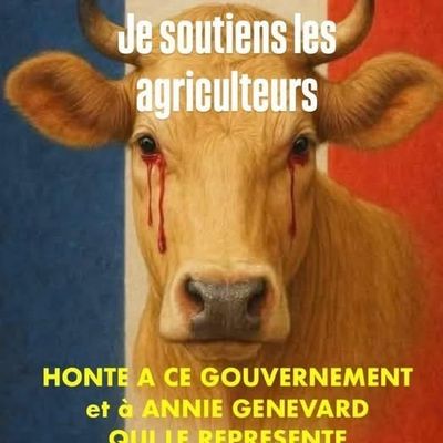 Macron et son gouvernement de minables en sont là !