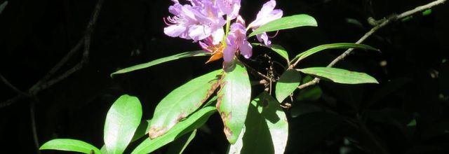 des photos plaisir des yeux