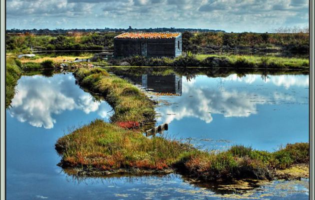 Marais sous les nuages (technique HDR) - Ars-en-Ré - Ile de Ré - 17