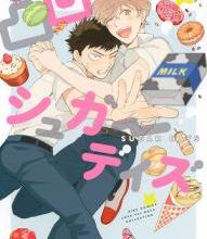 Découvrez les 30 mangas Boy's Love les plus attendus en France !