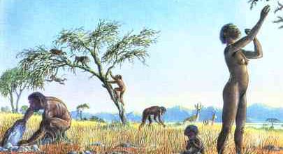 Les lois de la nature
