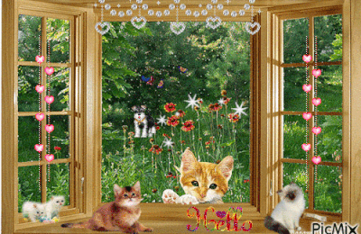 CREA CHATS
