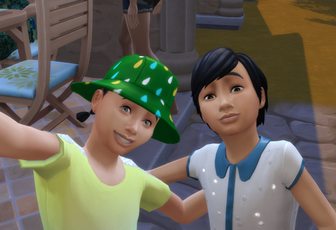 Les ajouts que j'aimerai avoir dans les sims 4