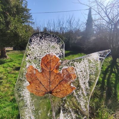 La feuille emprisonnée