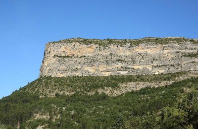 Le rocher du Caire avec les vautours