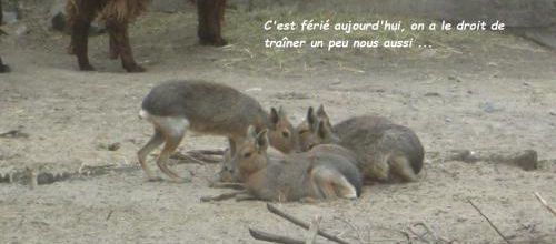 Bon lundi à tous