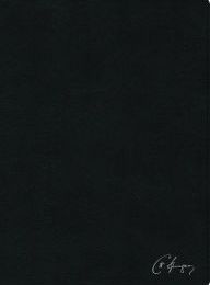 Ebooks download forum rapidshare RVR 1960 Biblia de estudio Spurgeon, negro piel genuina con indice MOBI iBook 9781535915199