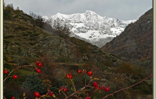 Paysages des Pyrénées (Année 2009)