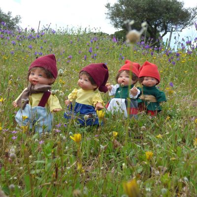 Des nouvelles des gnomes....