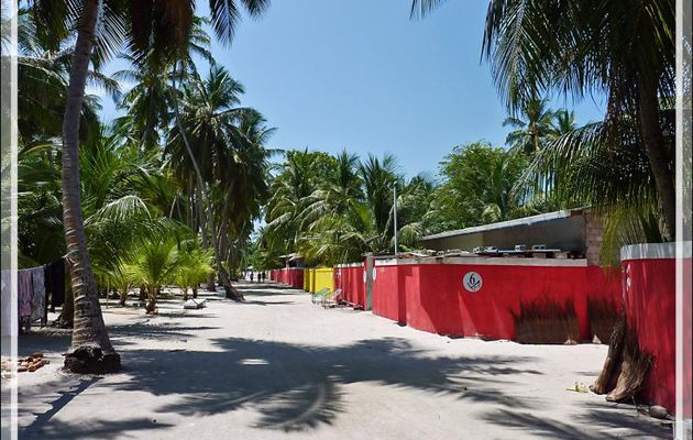 Que voir à Mandhoo à part la plage ? - Atoll d'Ari - Maldives