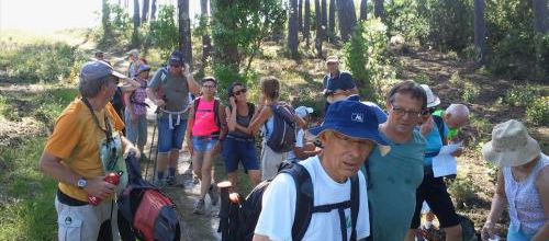 R20 Biscarosse 20/6/18