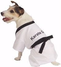 mode fashion karateka