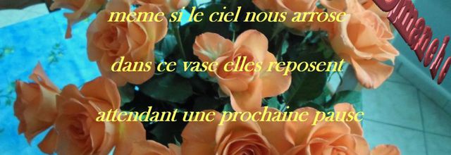 RÉFLEXION DE LA SEMAINE    19/01/2014