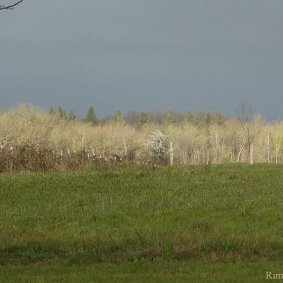 C'était au printemps,