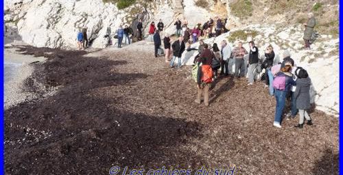 Bain de mer du début d'année 2016