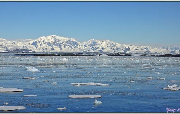08/03/2022 : Les paysage est vraiment splendide, sans hésiter le plus beau observé depuis notre départ, il est vrai que la météo est de la partie ! - Péninsule Antarctique
