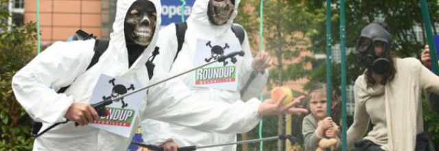 L'UE peine à se mettre d'accord sur le glyphosate, herbicide controversé