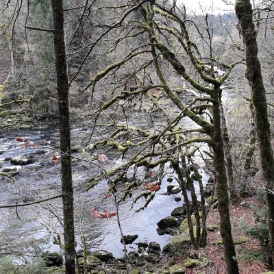 Journal, extraits des jours J+394, +395, +400 et +402, les 4, 5, 10 et 12/12/2019