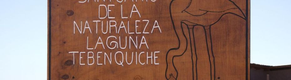 Atacama ~ La Laguna Tebenquiche