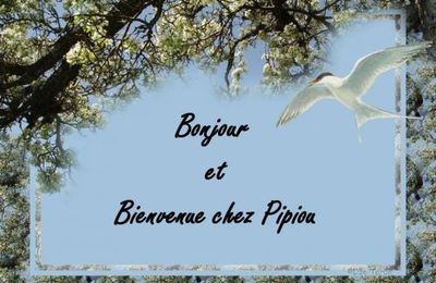 La naissance d'un cerf....