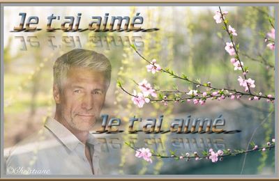 Je t'ai aimé 