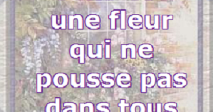 Le bon sens est une fleur qui ne pousse pas dans tous les jardins