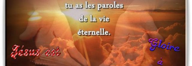 Homélie du 21ème dimanche du Temps ordinaire - 22 août 2021