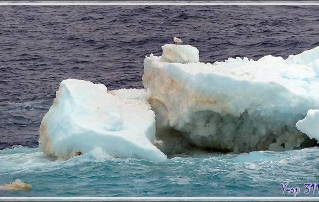 3 septembre 2016 : mouillage devant Point Barrow (Alaska) pour les formalités d'entrée sur le territoire des USA, 71° 18' 22" Nord, 156° 47' 57" Ouest