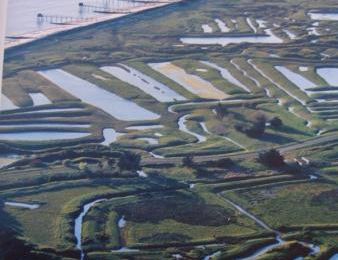 Des Moutiers en Retz au Port du Collet