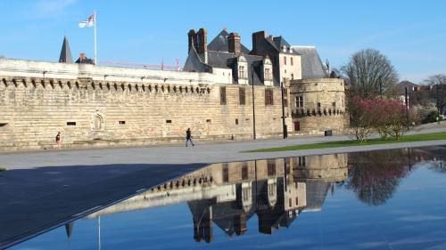 Miroir mon beau miroir ... dis-moi qui est la plus belle ?
