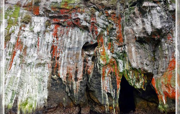 Au pays des merveilles : quand la nature fait dans l'abstrait - Nightingale Island - Tristan da Cunha