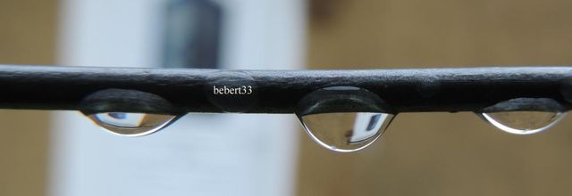 mes gouttes de Janvier 2016