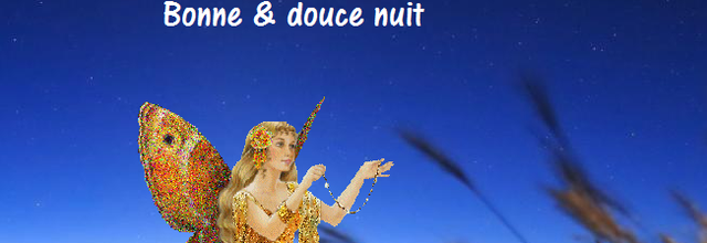 Bonne nuit 