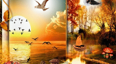 CADRE AUTOMNE ANIMAUX