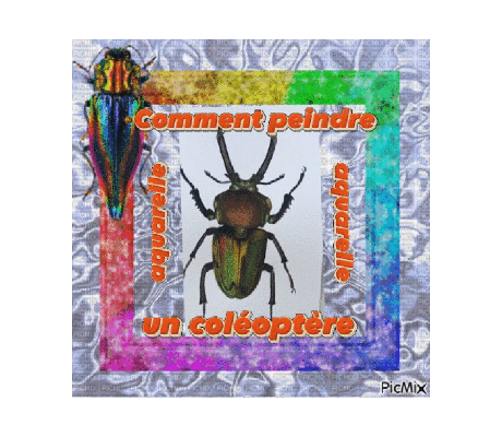 Dessin et peinture - vidéo 4501 : Comment peindre un coléoptère ? - aquarelle.