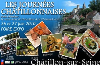 Les Journées Châtillonnaises samedi 26 et dimanche 27 Juin...