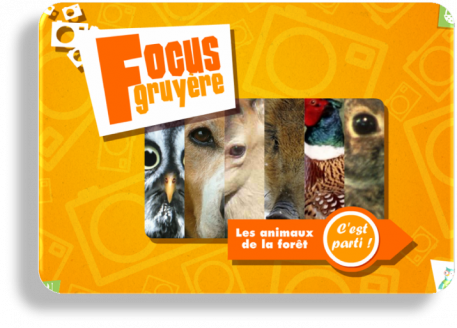 Focus gruyère