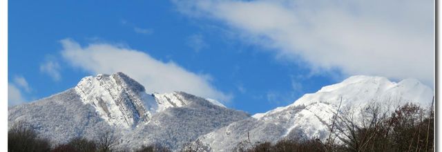  PAYSAGE  DE  JANVIER  2021