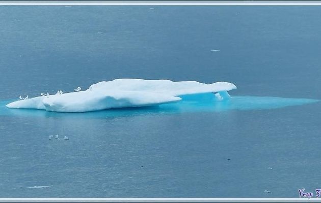 29 août 2016 : nous naviguons dans la Mer de Beaufort, 68° 30' Nord, 100° Ouest - Rencontre avec de la banquise en débâcle - Nunavut - Canada