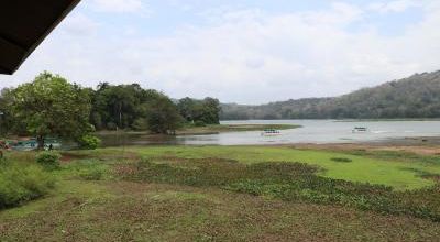 VOYAGE AU PANAMA - AVRIL 2019 (6)